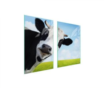 shumee STEKLENA ZAŠČITNA KROŽNIKA ZA KUHINJO 65x52 COW