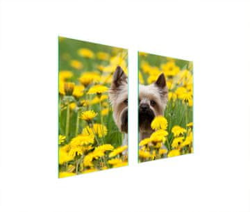 shumee STEKLENA ZAŠČITNA KROŽNIKA ZA KUHINJO 65x52 DOG