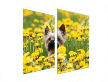 shumee STEKLENA ZAŠČITNA KROŽNIKA ZA KUHINJO 2x35x52 DOG