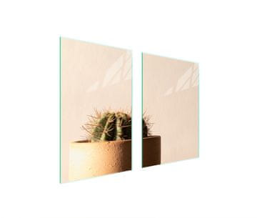 shumee STEKLENA ZAŠČITNA KROŽNIKA ZA KUHINJO 65x52 CACTUS