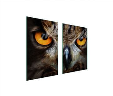 shumee ZAŠČITNA STEKLENA KROŽNIK ZA KUHINJO 65x52 OWL