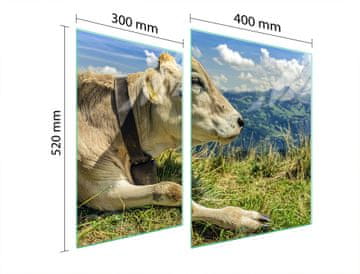 shumee STEKLENA ZAŠČITNA PLOŠČA ZA ŠTEDILNIK 70x52 COW