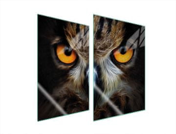 shumee ZAŠČITNA STEKLENA PLOŠČA ZA KUHINJO 2x35x52 OWL