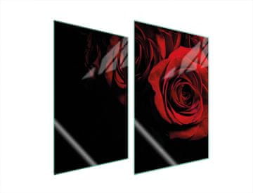 shumee ZAŠČITNA STEKLENA KROŽNIK ZA KUHINJO 2x35x52 ROSE