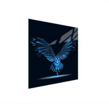 shumee STEKLENA ZAŠČITNA PLOŠČA ZA ŠTEDILNIK 50x52 BIRD