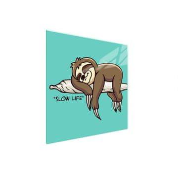 shumee STEKLENA ZAŠČITNA PLOŠČA ZA ŠTEDILNIK 50x52 SLOTH