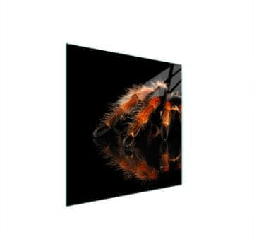 shumee ZAŠČITNA STEKLENA PLOŠČA ZA ŠTEDILNIK 50x52 SPIDER