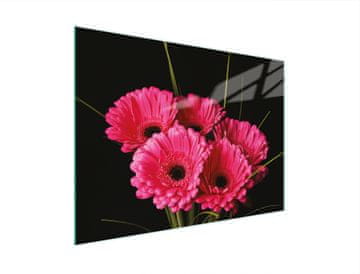 shumee STEKLENA DESKA ZA REZANJE 30x22 GERBERA