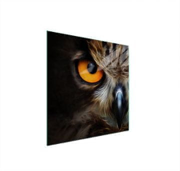shumee STEKLENA ZAŠČITNA PLOŠČA ZA ŠTEDILNIK 50x52 OWL