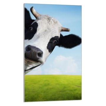 shumee STEKLENA DESKA ZA REZANJE 30x52 Cow