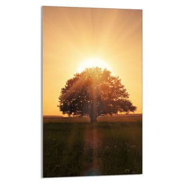 shumee STEKLENA REZALNA DESKA 30x52 Drevo
