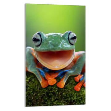 shumee STEKLENA DESKA ZA REZANJE 30x52 Žaba