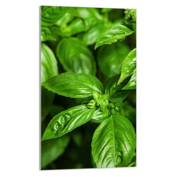 shumee STEKLENA DESKA ZA REZANJE 30x52 Bazilika