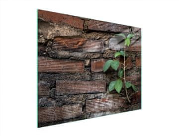 shumee STEKLENA REZALNA DESKA 52x40 BRICK