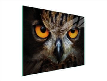 shumee STEKLENA DESKA ZA REZANJE 52x40 OWL