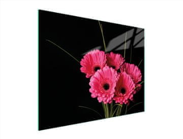 shumee STEKLENA DESKA ZA REZANJE 52x40 GERBERA