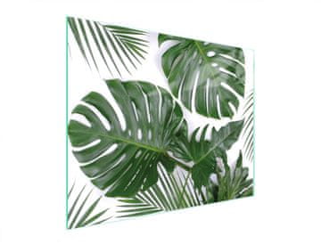 shumee STEKLENA DESKA ZA REZANJE 52x40 MONSTERA