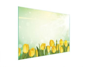 shumee STEKLENA DESKA ZA REZANJE 40x30 TULIPANI