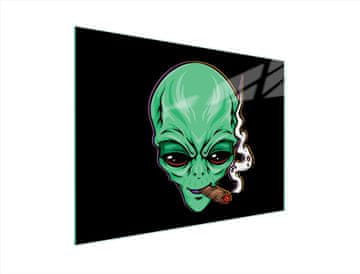 shumee STEKLENA DESKA ZA REZANJE 40x30 UFO