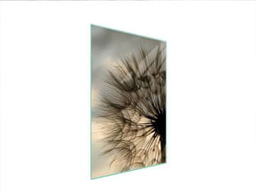 shumee STEKLENA DESKA ZA REZANJE 35x52 CVET