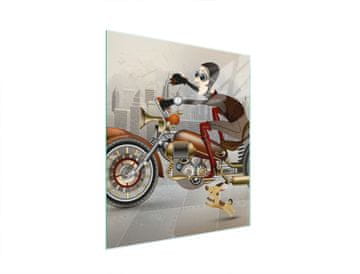shumee STEKLENA DESKA ZA REZANJE 45x52 MOTOCIKEL