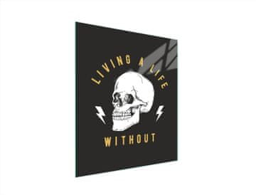 shumee STEKLENA DESKA ZA REZANJE 45x52 LOBANJA