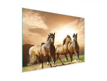 shumee STEKLENA REZALNA DESKA 30x22 KONJ