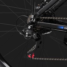 Duotts C29 Električno kolo