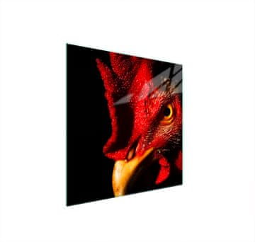 shumee STEKLENA ZAŠČITNA PLOŠČA ZA ŠTEDILNIK 50x52 ROOSTER