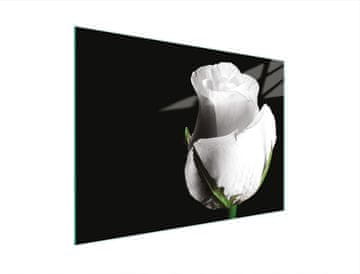 shumee STEKLENA DESKA ZA REZANJE 30x22 ROSE