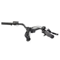 ECONO Mare City EEC4 2026 Električno kolo - Siva / 520Wh (15Ah) / L -25% subvencija