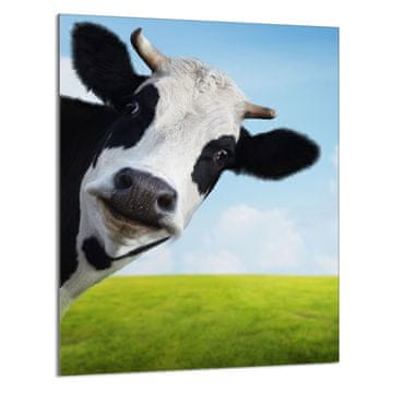 shumee STEKLENA DESKA ZA REZANJE 40x52 Cow