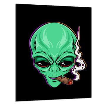 shumee STEKLENA DESKA ZA REZANJE 40x52 UFO