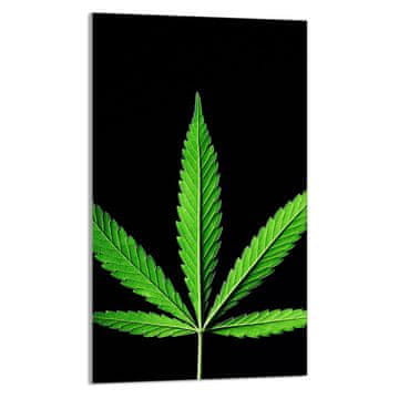 shumee STEKLENA DESKA ZA REZANJE 30x52 Leaf