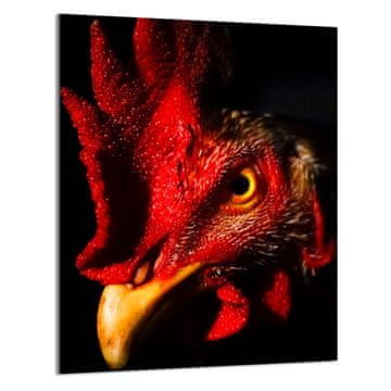 shumee STEKLENA DESKA ZA REZANJE 40x52 Petelin
