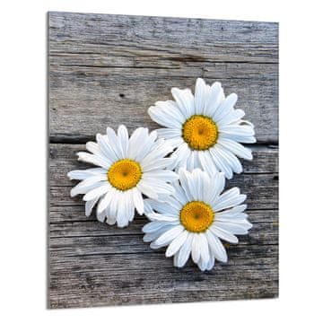 shumee STEKLENA DESKA ZA REZANJE 40x52 Daisy