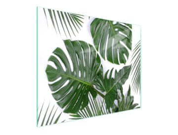 shumee STEKLENA DESKA ZA REZANJE 52x30 MONSTERA