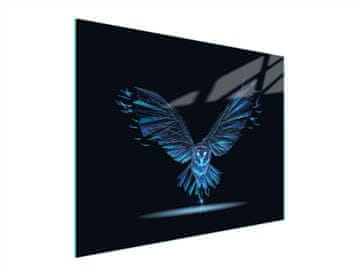 shumee STEKLENA DESKA ZA REZANJE 52x40 BIRD
