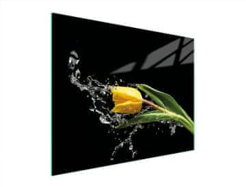 shumee STEKLENA DESKA ZA REZANJE 52x40 TULIPAN