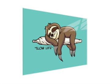 shumee STEKLENA DESKA ZA REZANJE 40x30 SLOTH