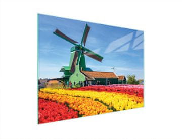shumee STEKLENA DESKA ZA REZANJE 40x30