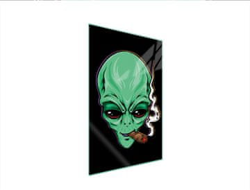 shumee STEKLENA DESKA ZA REZANJE 35x52 UFO