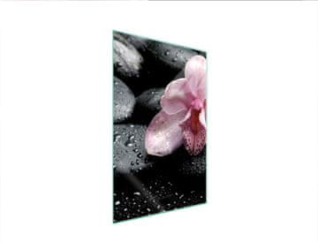 shumee STEKLENA DESKA ZA REZANJE 35x52 ORHIDEJA