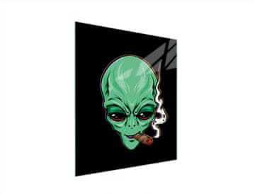 shumee STEKLENA DESKA ZA REZANJE 45x52 UFO