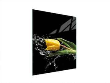 shumee STEKLENA DESKA ZA REZANJE 45x52 TULIPAN