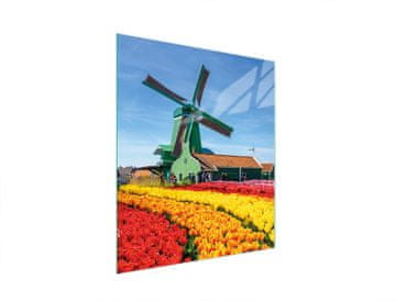 shumee STEKLENA DESKA ZA REZANJE 45x52