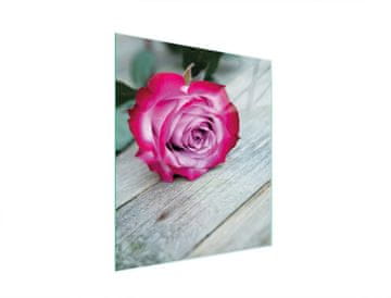 shumee STEKLENA DESKA ZA REZANJE 45x52 ROSE