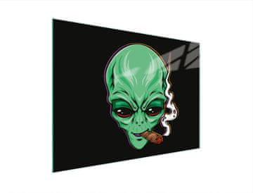 shumee STEKLENA DESKA ZA REZANJE 30x22 UFO