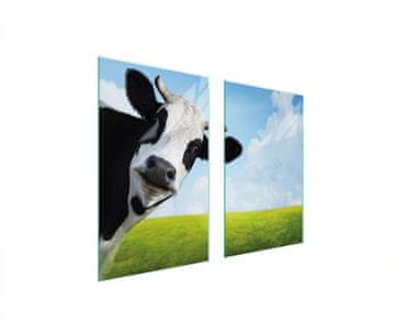shumee STEKLENA ZAŠČITNA PLOŠČA ZA ŠTEDILNIK 75x52 COW