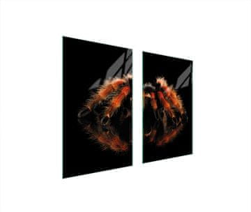 shumee ZAŠČITNA STEKLENA PLOŠČA ZA ŠTEDILNIK 75x52 SPIDER